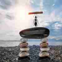 网﻿站‍收‍录‌是‍干‍嘛​的‍ 0a3华﻿网﻿优‌站​网‍